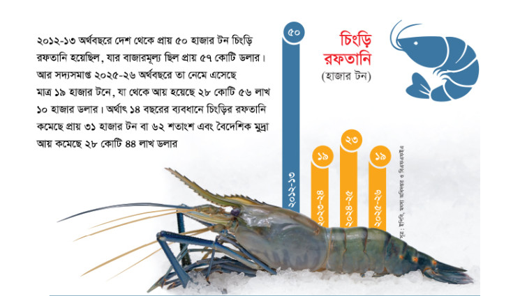 ১৪ বছরের ব্যবধানে চিংড়ি রফতানি কমেছে ৬২%