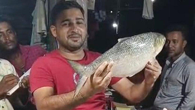 এক ইলিশের দাম সাড়ে ১০ হাজার টাকা