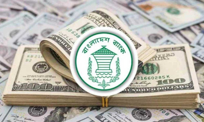 অক্টোবরের ২৪ দিনে রেমিট্যান্স এসেছে ২১৩ কোটি ৭০ লাখ ডলার