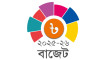 নতুন বাজেটে করের বোঝা বাড়বে না
